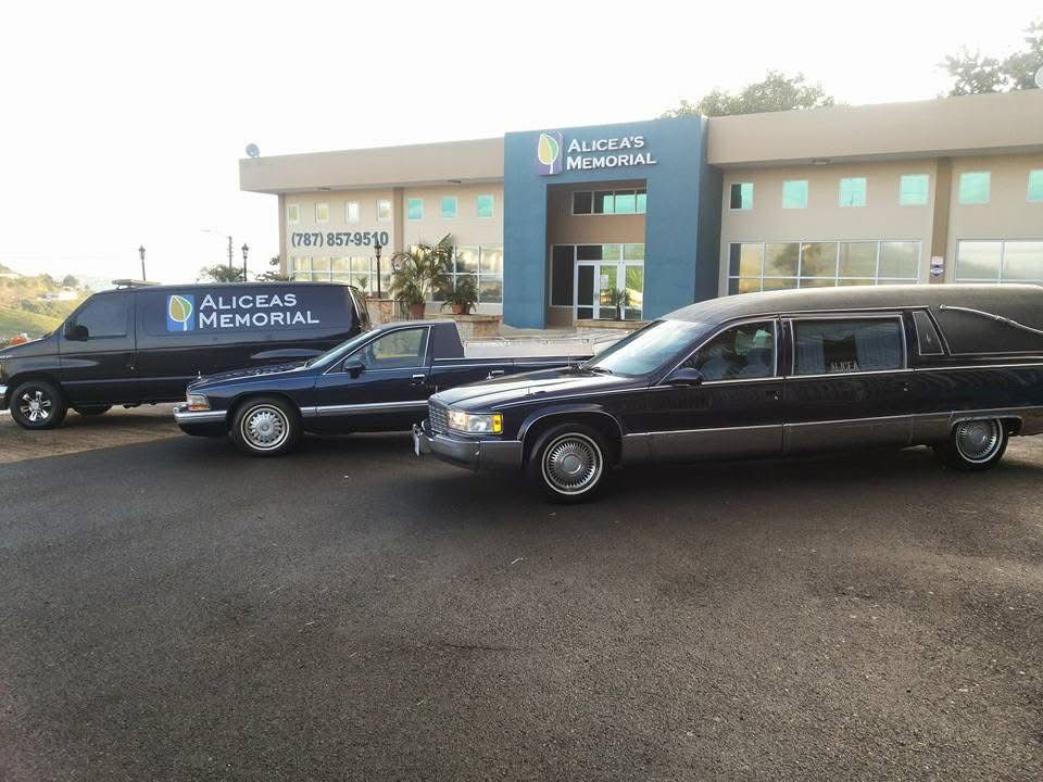 Alicea's Memorial Barranquitas - Professional Fleet